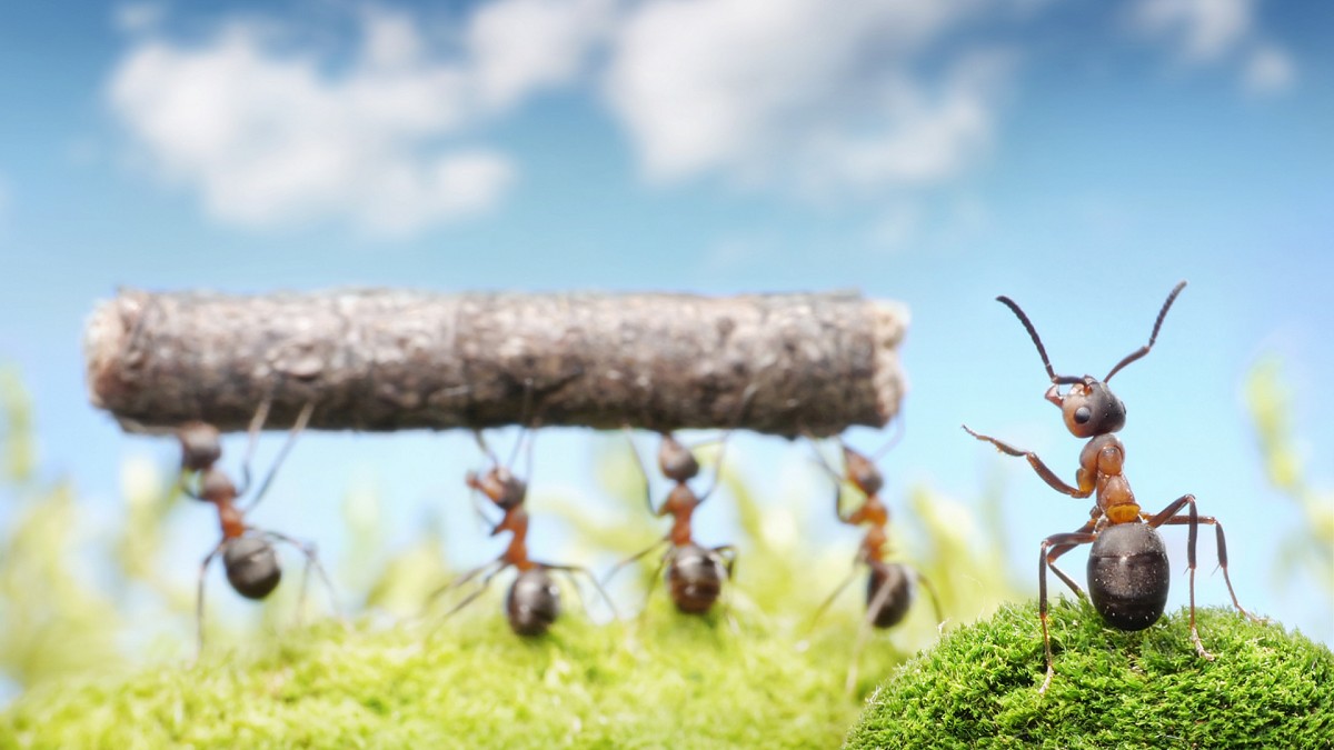 5 Keys To Delegating Well