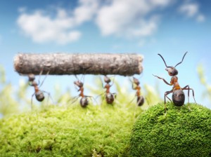 5 Keys to Delegating Well