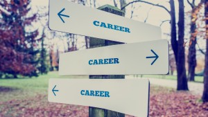 Career signposts