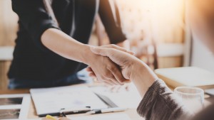 businesswomen handshake